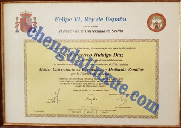 西班牙塞维利亚大学毕业证图片(国外大学毕业证模板图片)