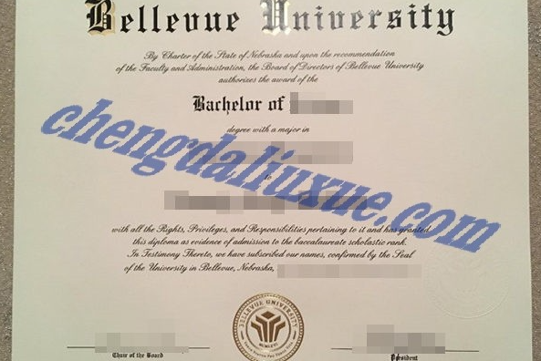美国贝尔维尤大学毕业证样本