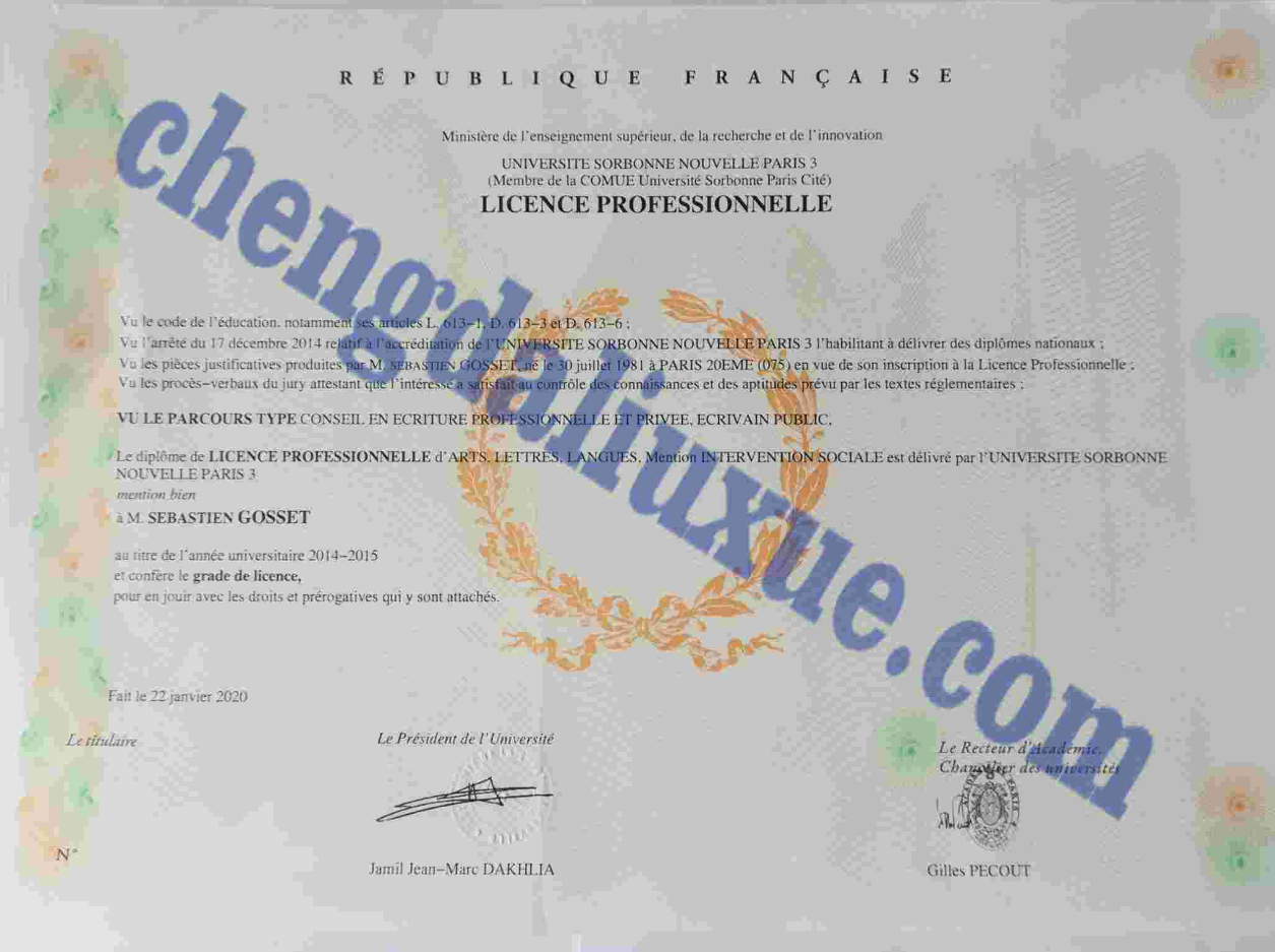 法国巴黎第九大学毕业证图片模板（Certificat de fin d'études sur mesure de l'Université Paris IX, France）