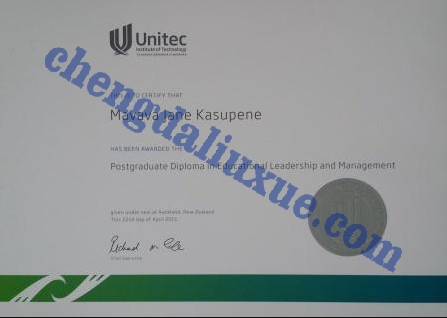 新西兰联合理工学院毕业证图片模板（Customized graduation certificate for the United Institute of Technology in New Ze）