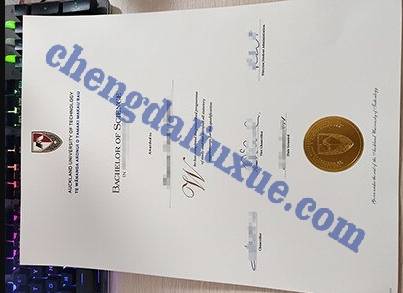 新西兰奥塔哥理工学院毕业证图片（Customized graduation certificate for the Bay of Plenty Polytechnic Institute in Ne）